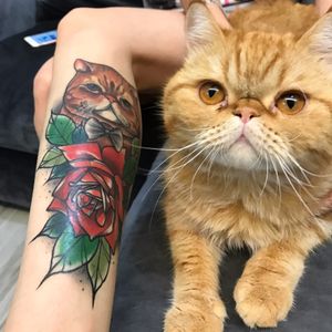 Foto que o tatuador Lucas Ferreira recebeu da sua cliente da tattoo cicatrizada. #LucasFerreira #tatuadoresbrasileiros #cat #cattattoo #gatotattoo
