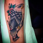 Classic eagle and blossom tattoo. Vibrant work by Bradley Kinney. #bradleykinney #DanaPointTattoo #traditional #bold #blossom #eagle