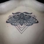 Dotwork Moth Tattoo by @setharcane #dotowrkmoth #moth #dotwork #setharcane