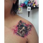 Colorful watercolor chihuahua tattoo by Alejandra Hernandez. #chihuahua #dog #watercolor #abstract #AlejandraHernandez