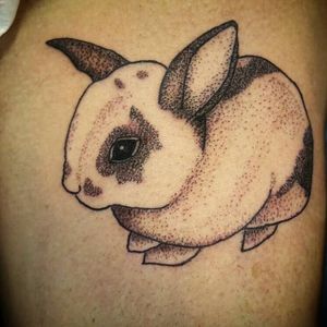 #coelho #rabbit #pontilhismo #tatuadora #AngieTattoo #femaletattooartist #brasil #brazil #portugues #portuguese
