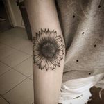 Girassol por Anna Luiza Schramm! #AnnaLuizaSchramm #TatuadorasBrasileiras #TatuadorasdoBrasil #TattooBr #TattoodoBr #girassol #sunflower #flower #flor