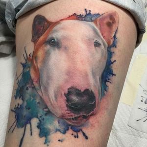 Realistic bull terrier and watercolor splatter tattoo by Maija Arminen. #dog #petportrait #bullterrier #MaijaArminen #realism #colorrealism