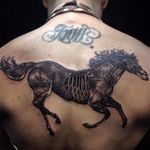 Anatomia equina #PolyannaCorrea #tattooartist #TatuadorasDoBrasil #brasil #brazil #brazilianartist #artistabrasileira #horseanatomy #anatomiaanimal #horse #cavalo #blackwork #animal #bonnes #ossos #muscles #musculos