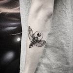Moth Tattoo by Thomas Eckeard #moth #mothtattoo #blackworkmoth #blackwork #blackworktattoo #blackworktattoos #detailedtattoo #smalltattoo #detailedblackwork #ThomasEckeard