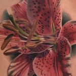 A closeup of one of Phil Garcia's (IG—philgarcia805) wonderful tiger lilies. #color #flowers #PhilGarcia #realism #tigerlily