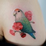 Lovebird tattoo by Tattoist Doy #TattooistDoy #naturetattoos #color #realism #realistic #watercolor #fineline #lovebird #bird #feathers #wings #flowers #pink #floral #leaves #tattoooftheday