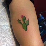 #BurakDanismend #cactos #cactus #watercolor