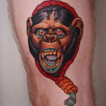 Chimp Tattoo by Jacob Wiman #Monkey #NeoTraditional #NeoTraditionalTattoos #NeoTraditionalArtist #BoldTattoos #Monkey #JacobWiman