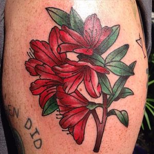 Traditional style rhododendron tattoo by Megan Kovak. #flower #botanical #rhododendron #traditional #MeganKovak