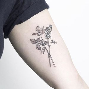 Botanical tattoo by Rachael Ainsworth #RachaelAinsworth #ornamental #botanical