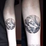 Bird tattoo by Sucha Igla #SuchaIgla #dotwork #blackwork #bird