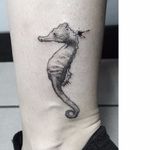 Seahorse tattoo by SEWP #SEWP #blackwork #graffiti #streetart #monochrome #seahorse