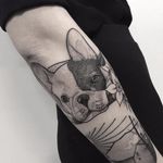 Dog tattoo by Aston Reynolds #AstonReynolds #blackwork #dotwork #monochrome #dog