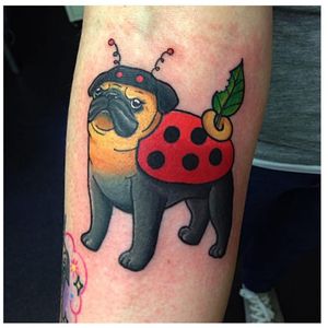 Ladybird pug by Fiona Hambleton via Instagram @fiona_jay #FionaHambleton #ladybird #pug #dog