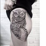 Owl tattoo by Katya Geta #KatyaGeta #blackwork #dotwork #owl
