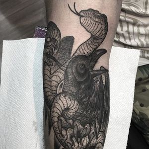 Blackwork raven and two-headed snake by Jhon Rodriguez. #blackwork #bird #snake #raven #twoheadedsnake #JhonRodriguez