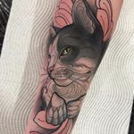 Lovely kitty by Tim Tavaria #TimTavaria #color #neotraditional #cat #petportrait #kitty #flower #petals #animal #nature #pink #fur #tattoooftheday