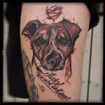 Illustrative Jack Russell tattoo by Damian Thur. #illustrative #sketchy #dog #JackRussell #DamianThur