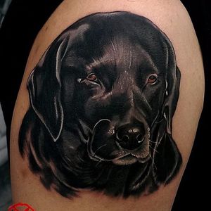 Black lab tattoo by Lokesh Verma. #dog #labrador #realism #styledrealism #LokeshVerm