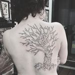 Beautiful leafless tree in progress tattoo by @ninjalevel #ninjalevel #leaflesstree #tree #noleaves #fall #nature #blackwork #linework