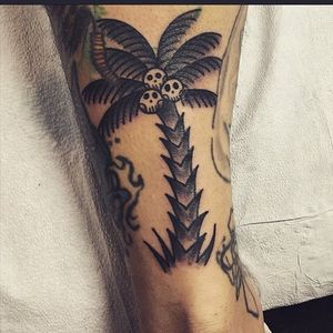 Palm Tree Tattoo by Jacky Valenti #palmtree #treetattoo #tropicaltattoo #traditionaltattoos #JackyValenti