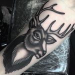 Blackwork Tattoo by Jack Peppiette #blackwork #traditionalblackwork #traditional #stag #deer #JackPeppiette