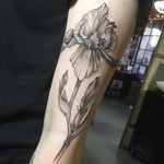 Linework iris tattoo by Maggie Cho. #linework #blackwork #flower #iris #MaggieCho #floral