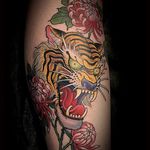 Color piece by Matt Beckerich #MattBeckerich #color #japanese #tiger #chrisanthemum #tattoooftheday