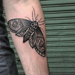 Moth Tattoo by Nhat Be #moth #blackwork #blackink #blackworkartist #darkartist #vietnam #NhatBe