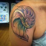 Watercolor nautilus seashell tattoo by Samantha Vail. #watercolor #illustrative #shell #seashell #SamanthaVail