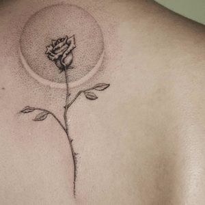 Rosa por Rosa Selva! #RosaSelva #tatuadorasbrasileiras #tattoobr #tatuadorasdobrasil #SãoPaulo #rose #flower #minimalist #minilmalista #delicada #delicate #flor #rosa #dotwork #pontilhismo #fineline #linhafina #traçofino