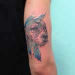 Sketch watercolor beagle tattoo by Florencia Gonzalez Tizon. #watercolor #sketch #abstract #dog #beagle #FlorenciaGonzalezTizon