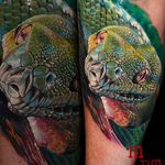 Intense realistic viper tattoo done by Martin Kukol. #MartinKukol #realistic #mARTink #snake #viper