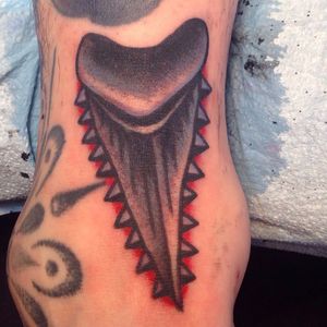 Shark Tooth Tattoo by Eli Quinters #sharktooth #shark #filler #gapfiller #EliQuinters