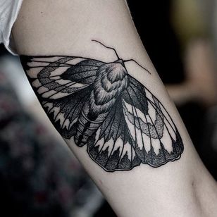 Tatuaje de polilla por Pavlo Balytskyi #moth #mothtattoo #blackwork #blackworktattoo #illustrative #illustrativetattoo #blackink #PavloBalystskyi