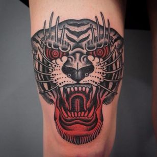 Tatuaje de tigre por Giacomo Sei Dita #GiacomoSeiDita #traditional #redink #blackwork #tiger