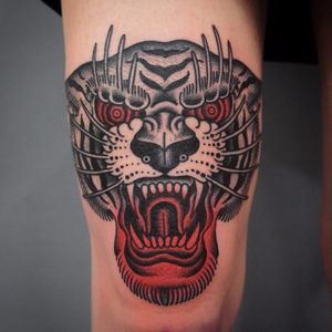 Tiger tattoo by Giacomo Sei Dita #GiacomoSeiDita #traditional #redink #blackwork #tiger
