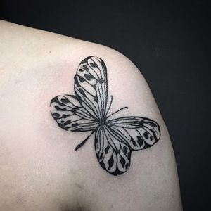 A lovely butterfly (IG-@dan_tattoo_o) #blackwork #dotwork #cattattoo #linework #southkorea #southkoreantattooartist #southkorean #butterfly #blackworkbutterfly #butterflylady