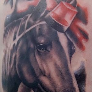 cavalo' in Tattoos • Search in +1.3M Tattoos Now • Tattoodo