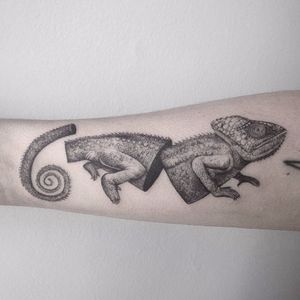 Tattoo por Farfalla Ink! #FarfallaInk #tatuadorasbrasileiras #Brasil #SãoPaulo #TattooBr #blackwork #fineline #dotwork #camaleão #Chameleon