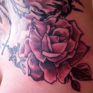 Roses by Mike Bellamy (IG-mikebellamy.tattoo.paint) #MikeBellamy #roses #backpiece #redrockettattoo