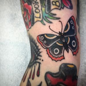 Traditional butterfly tattoo by Frankie Caraccioli #FrankieCaraccioli #butterfly #trad #traditional #traditionalbutterfly