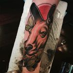 Nice kangaroo neo traditional tattoo by Jacob Gardner. #jacobgardner #neotraditional #kangaroo