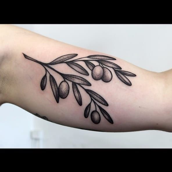 Top 128+ olive branch tattoo outline vova.edu.vn