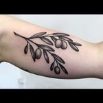 Olive branch tattoo by Rosie Roo #RosieRoo #blackandgrey #monochrome #blackwork #nature #olivebranch