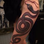 Slick snake by Nick Alvarez #NickAlvarez #snake #color #scales #traditional #Japanese #mashup #tattoooftheday