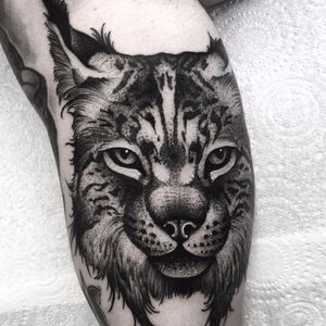 Wild cat by Kelly Violence #KellyViolence #blackandgrey #cat #wildcat #junglecat #animal #nature #realistic #tattoooftheday