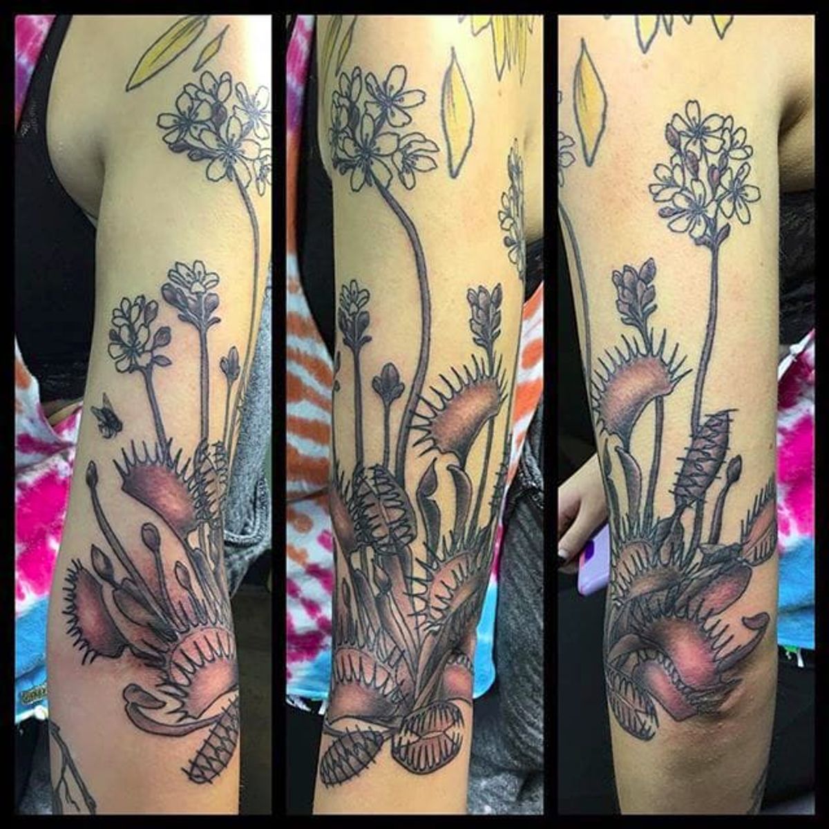 Tattoo uploaded by Servo Jefferson • Venus flytrap by Stacey Newmyer ...