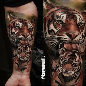 #tigre #tiger #KoryAngarita #realismo #natureza #talentogringo #brasil #portugues